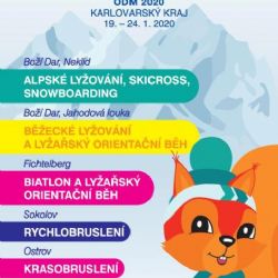 Cheb: Město bude hostit hokejový turnaj olympiády dětí a mládeže