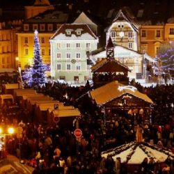 Cheb: Město hledá vánoční stromy