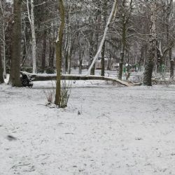 S následky vichřice se potýká i město Cheb