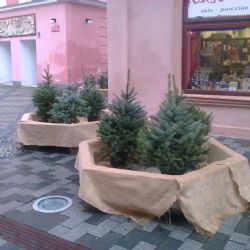 Cheb: Místo betonových zátarasů budou květináče