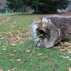 Cheb: Na Krajince řádil vandal