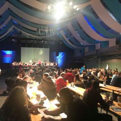 Cheb: Na Krajince se sejdou milovníci zlatého moku