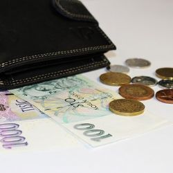 Cheb: Na návštěvě odcizila peníze