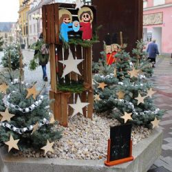 Cheb: Nejkrásnější květináč měla 4. ZŠ