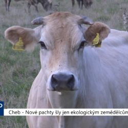 Cheb: Nové pachty šly jen ekologickým zemědělcům (TV Západ)