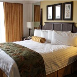 Cheb: Od nového roku město zavádí poplatek z pobytu