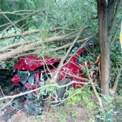 Cheb: Osobní vozidlo narazilo do stromu