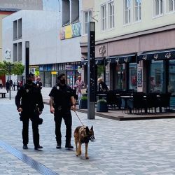 Cheb: Pes, doprovod městských strážníků