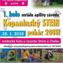 Cheb: Poslední neděli v měsíci se koná Kopaninský Stein pohár 2018
