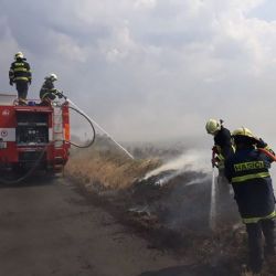 Cheb: Požár pole likvidovalo osm jednotek hasičů