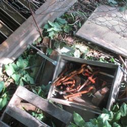 Cheb: Při krádeži železa byl zadržen policisty