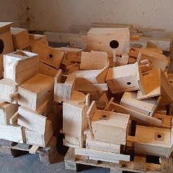 Cheb: Realizace dalšího Meganápadu se rýsuje