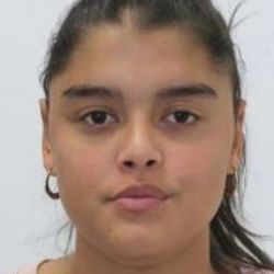 Cheb, Sokolov: Policie pátrá po pohřešované 17leté dívce