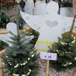 Cheb: Soutěž O nejkrásnější květináč má svého vítěze