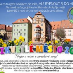 Cheb: Soutěž Rozkvetlé město 2020