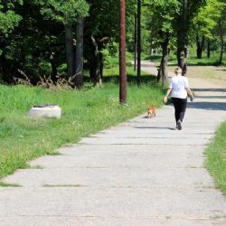 Cheb: Stezka na Švédský vrch je nově osvětlena