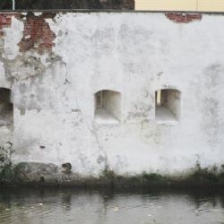 Cheb: Strážníci s hasiči zachraňovali kočku