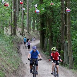 Cheb: Území nad přehradou čekají další úpravy