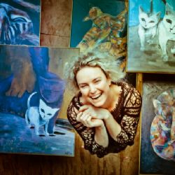 Cheb: V Infocentru bude aukce pro kočičí útulky