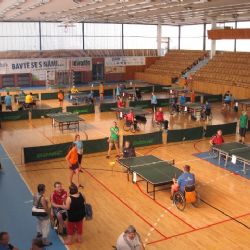 Cheb: V sobotu se koná 20. ročník turnaje vozíčkářů