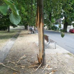 Cheb: Vandalismus. Napřed poškozené stromky, následně zábradlí  