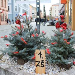 Cheb: Včera bylo odstartováno hlasování O nejkrásnější květináč