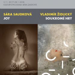 Cheb: Výstavou s Vladimírem Židlickým oslaví své životní jubileum Sára Saudková