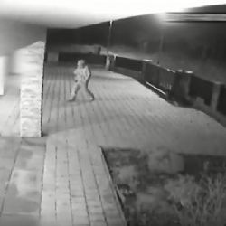 Chebsko: Dopustil se nejen krádeží, ale i vydírání 