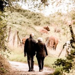 Chebsko: Falešný vnuk chtěl po seniorech půl milionu