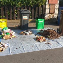 Chebsko: Množství vytříděného odpadu letos výrazně roste