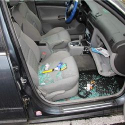 Chebsko: Kradl stále dokola. Nyní spadla klec