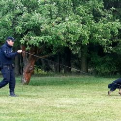 Chebsko: Policejní pes Karo vypátral dva zloděje 