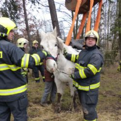 Chodov: Dobrovolní hasiči mají na kontě dvě stovky výjezdů