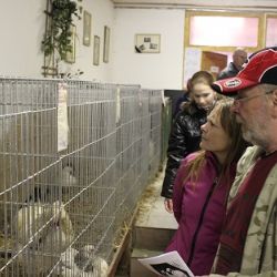 Chodov: Město podpoří další organizace