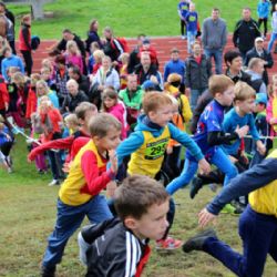 Chodov: Město rozdělí dotace podle nových pravidel