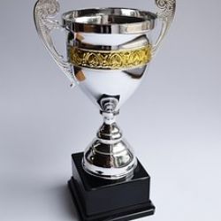 Chodov: Město vybírá sportovce roku