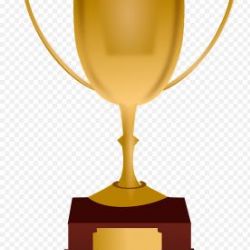 Chodov: Město vybírá Sportovce roku 2019