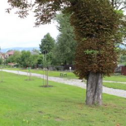 Chodov: Parčík a lípa připomínají továrníka Gasche