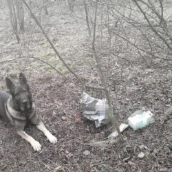 Chodov: Služební pes Garrit vypátral několik odcizených předmětů