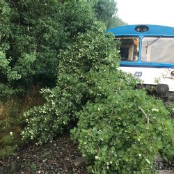 Chodov: U města narazil vlak do stromu