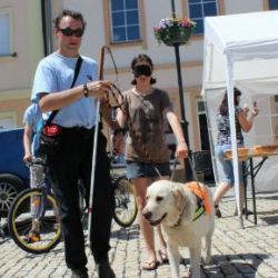 Chodov: Ve městě se představí sociální služby