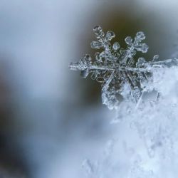 Chodov: Ve skladu jsou připraveny stovky tun soli