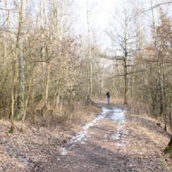 Chodov: Začíná očekávaná revitalizace Lesoparku