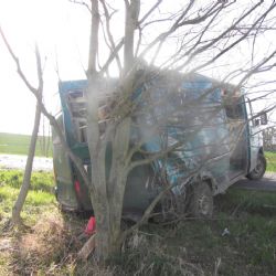 Chvoječná: Při snaze ujet policistům narazil do stromu