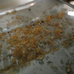 Další uzavřená restaurace, tentokrát v Nebanicích