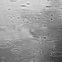 Dešťovka pro obce nabízí miliardu korun. Žádosti lze podat do konce prázdnin