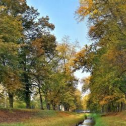 Dnes startuje hlasování o desátou Alej roku