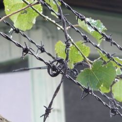 Dnes začíná 29. ročník Jáchymovského pekla 