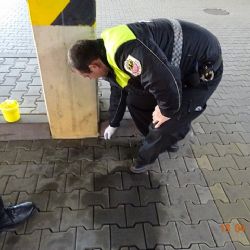 Do akce Jehla se zapojila i Městská policie Cheb