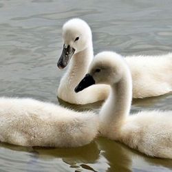 Do kraje půjdou finance na další 2 projekty